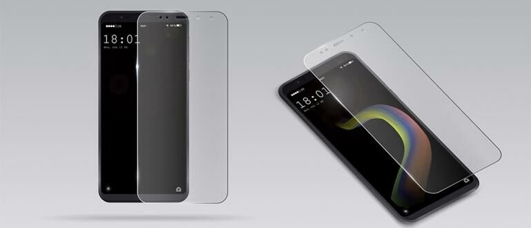 screen protector