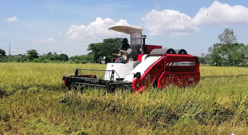 Combine Harvester: